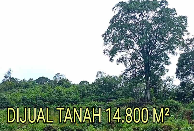 dijual tanah jl bukum sikeben bandar