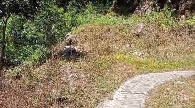 dijual tanah jl bukum sikeben bandar