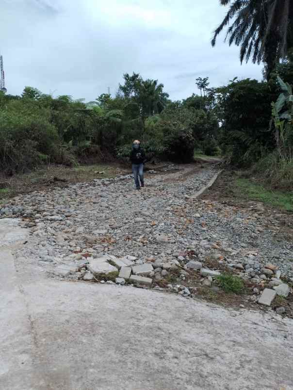 dijual tanah jl jamin ginting bandar