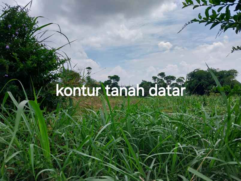 dijual tanah jl warung simpang cibuntu
