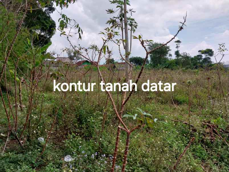 dijual tanah jl warung simpang cibuntu