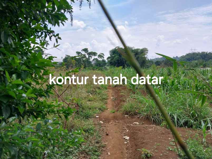 dijual tanah jl warung simpang cibuntu