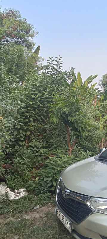 dijual tanah jln bhakti gang benda rt