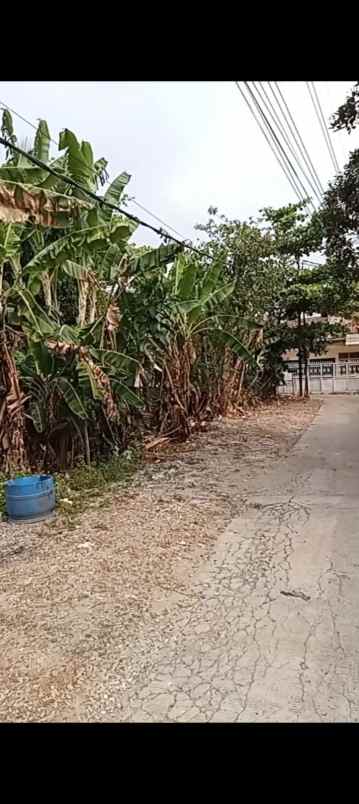 dijual tanah jln bhakti gang benda rt