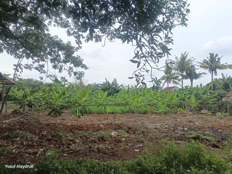 dijual tanah kampung sawah