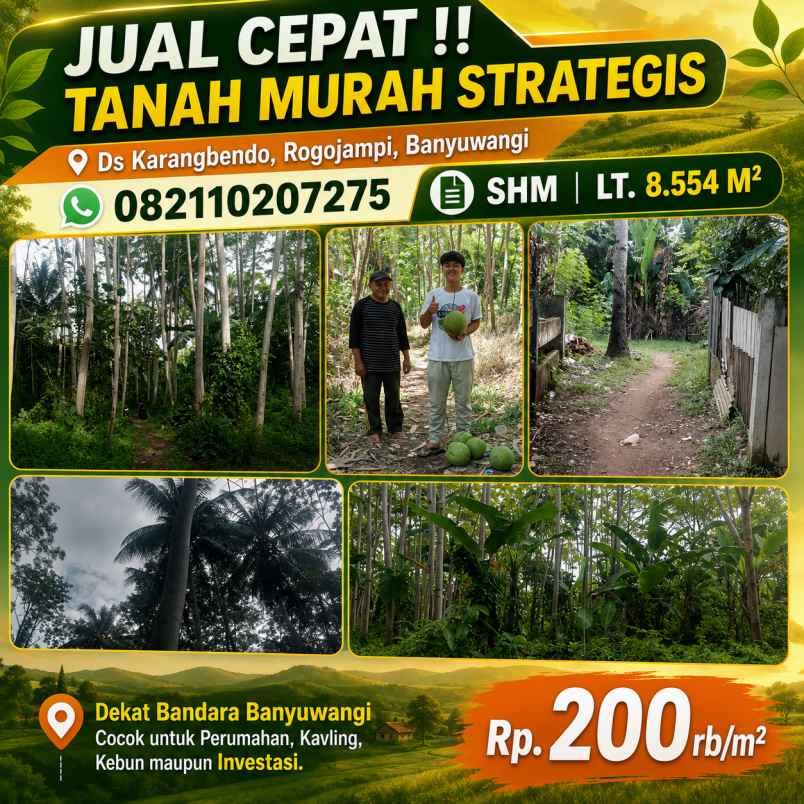 dijual tanah karangbendo rogojampi
