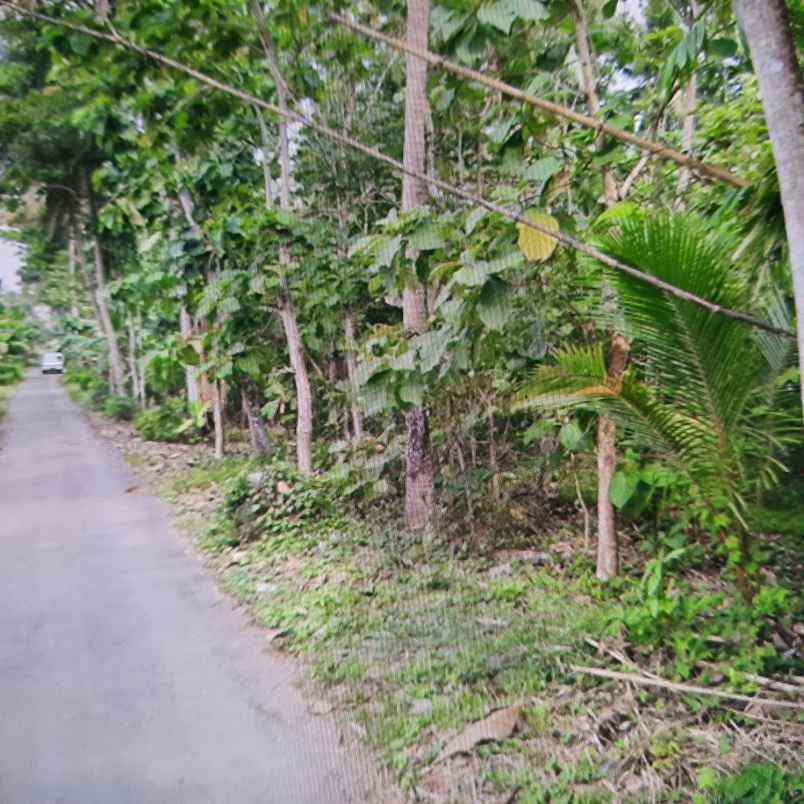 dijual tanah karangnongko