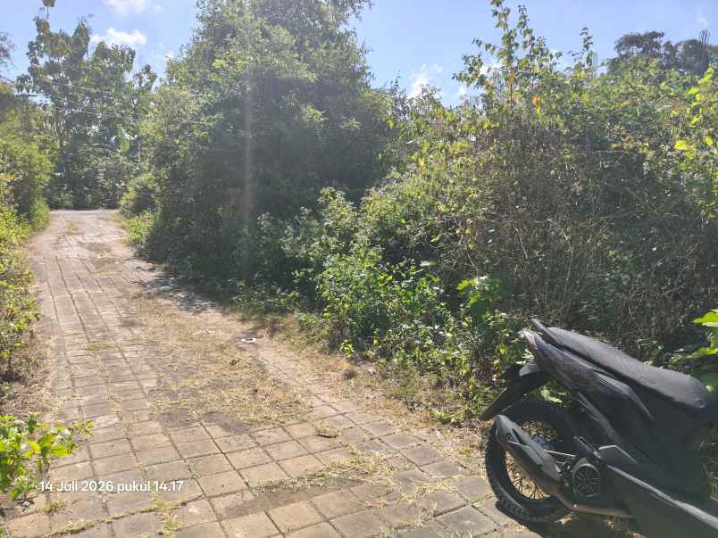dijual tanah kutuh badung bali