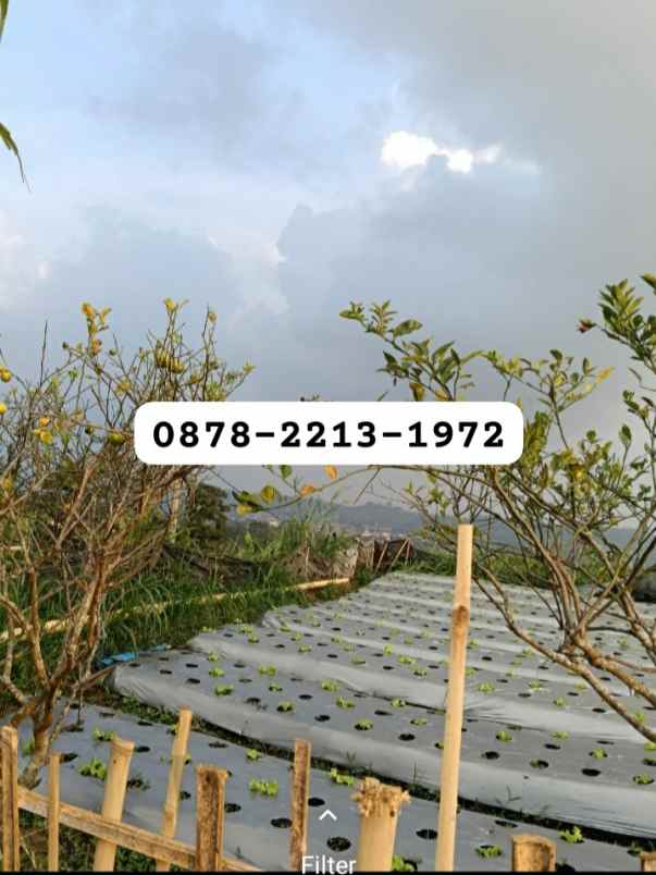 dijual tanah lembang bandung barat