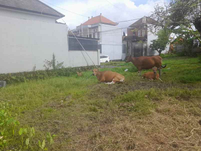 dijual tanah lokasi gang ilalang sempidi badung