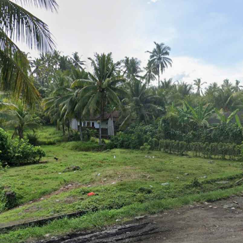 dijual tanah pekutatan antosari selabih
