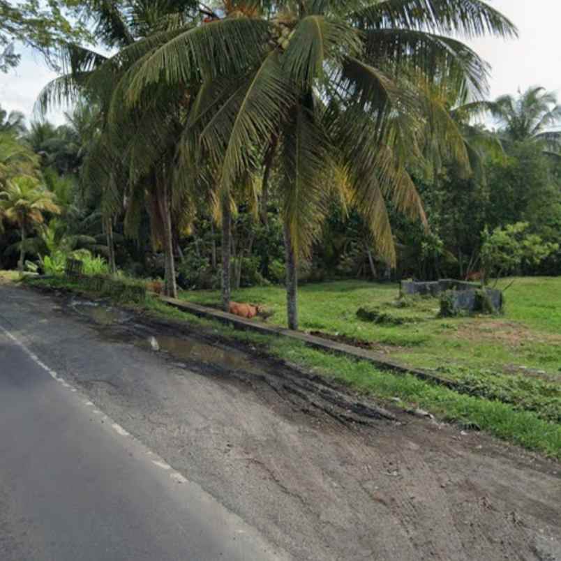dijual tanah pekutatan antosari selabih