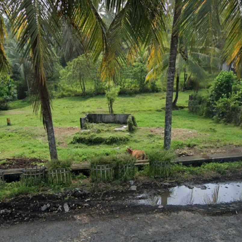 dijual tanah pekutatan antosari selabih