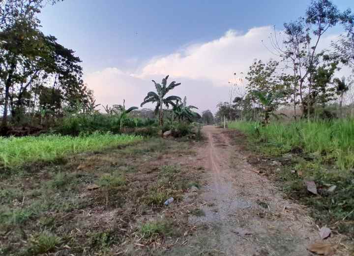 dijual tanah polanharjo klaten