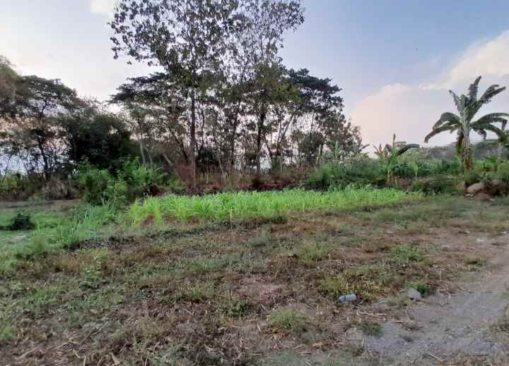 dijual tanah polanharjo klaten