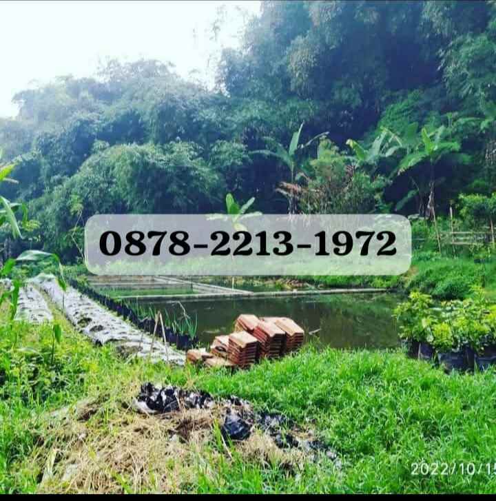 dijual tanah punclut lembang kbb