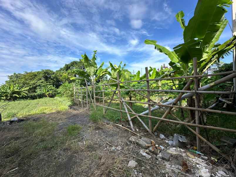 dijual tanah sedap malam