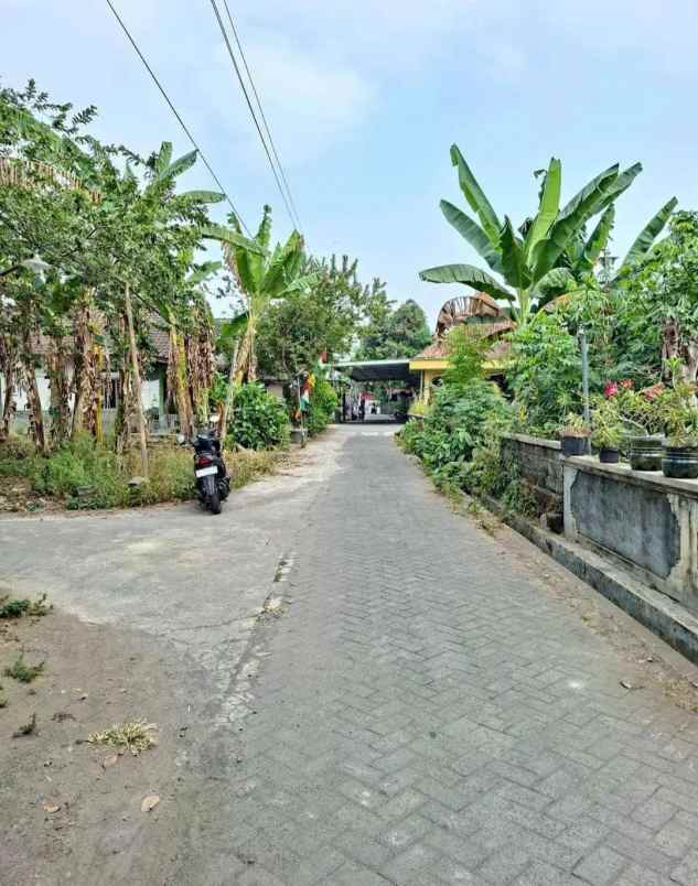 dijual tanah sleman