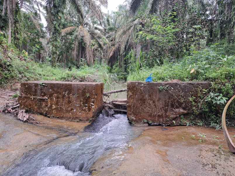 dijual tanah talun kenas deli serdang