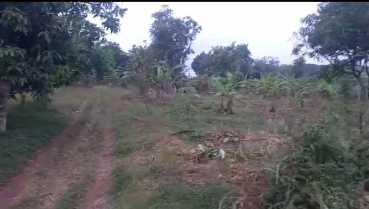 dijual tanah tenjo layar