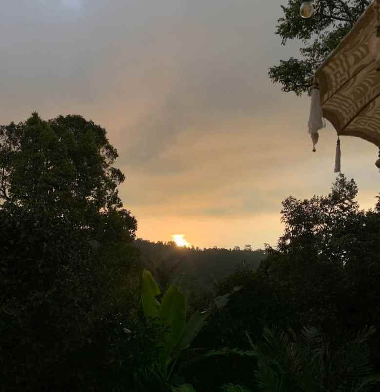 dijual tanah tigawasa buleleng bali