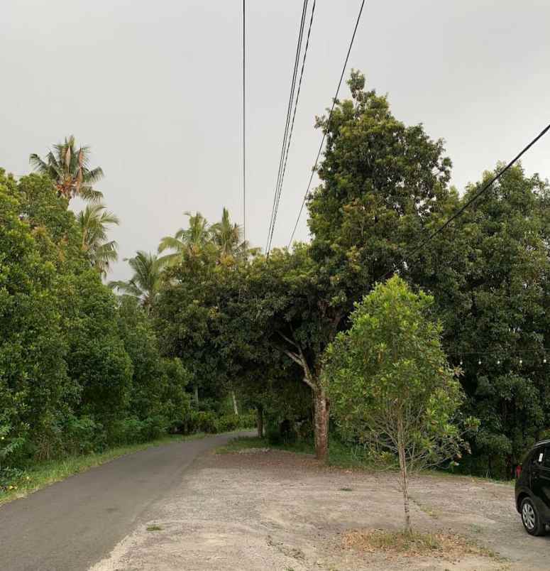 dijual tanah tigawasa buleleng bali