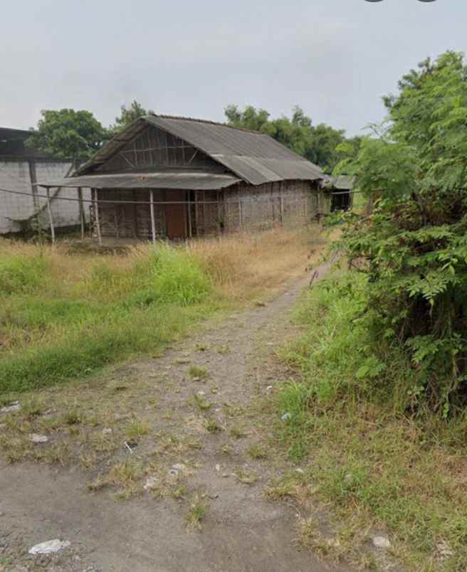 dijual tanah wringinanom gresik