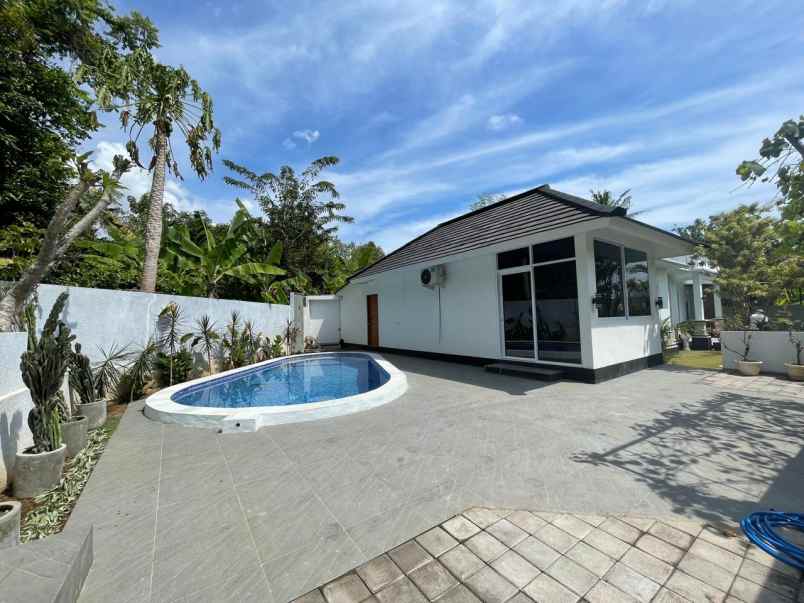 dijual villa lovina kalibukbuk village