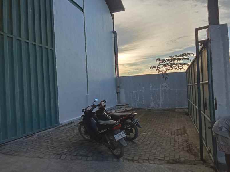 disewakan gudang di romokalisari