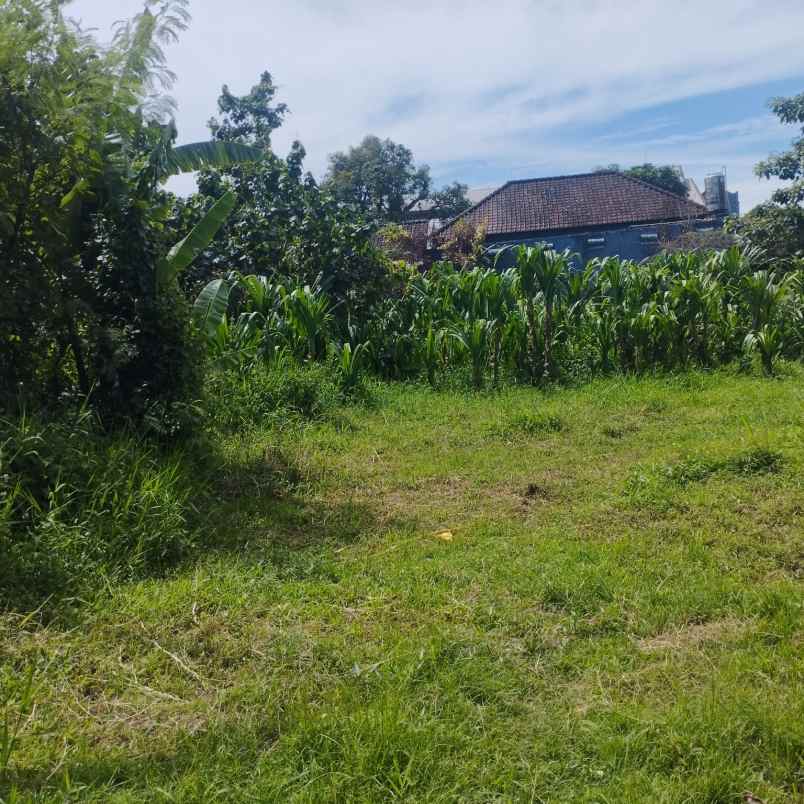 disewakan tanah gatsu barat