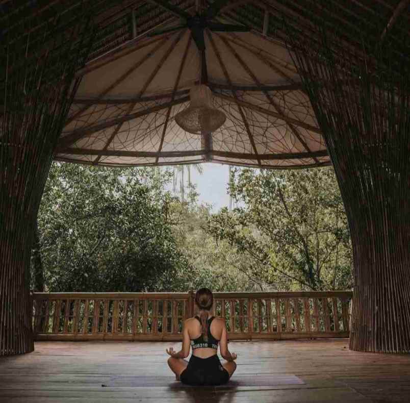 eco resort view sungai dan jungle di bali