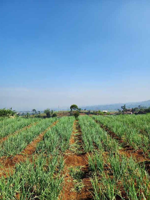 jual kavling villa view terindah harga termurah