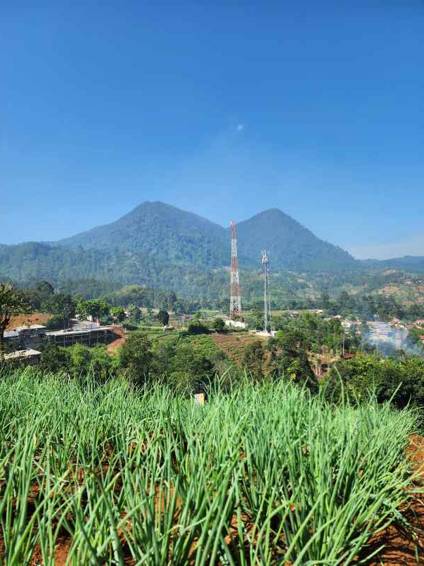 jual kavling villa view terindah harga termurah