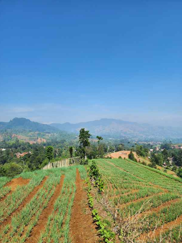 jual kavling villa view terindah harga termurah