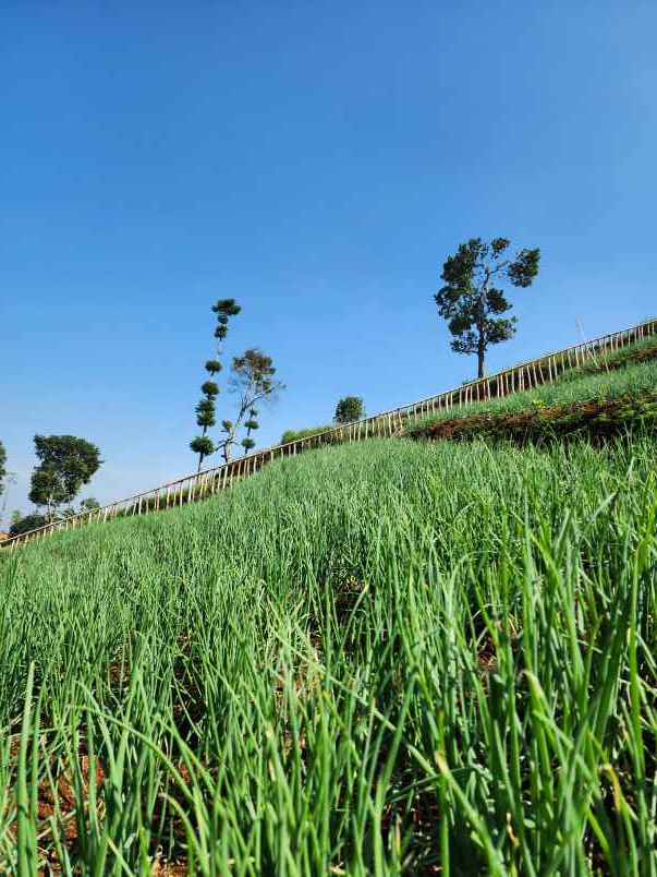 jual kavling villa view terindah harga termurah