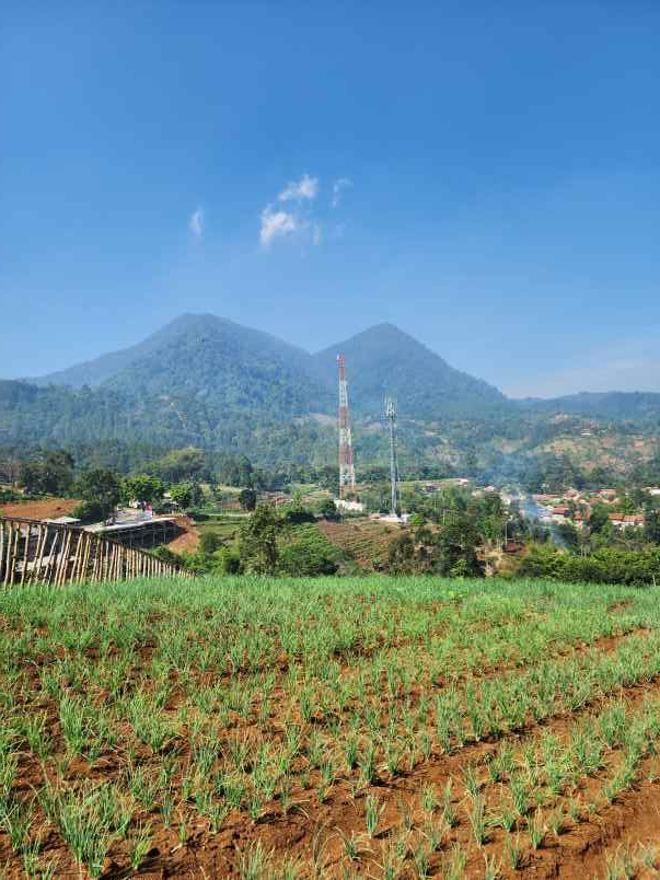 jual kavling villa view terindah harga termurah