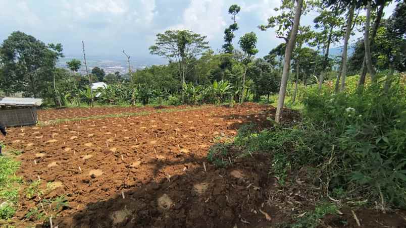 jual tanah kavling istimewa kab sumedang