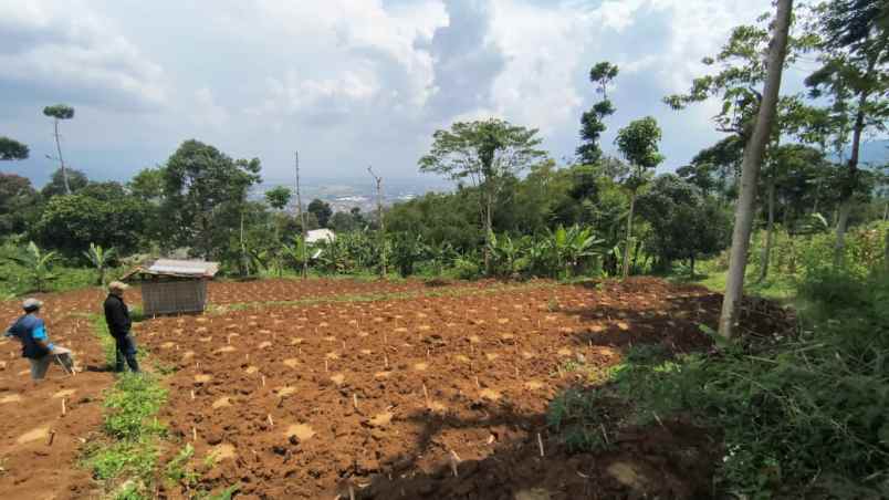 jual tanah kavling istimewa kab sumedang