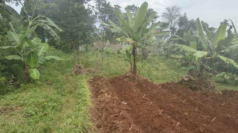jual tanah kavling istimewa kab sumedang