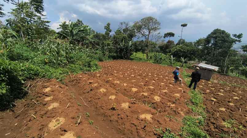 jual tanah kavling istimewa kab sumedang