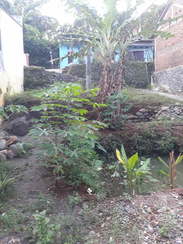 jual tanah milik pribadi sebelah jalan raya desa