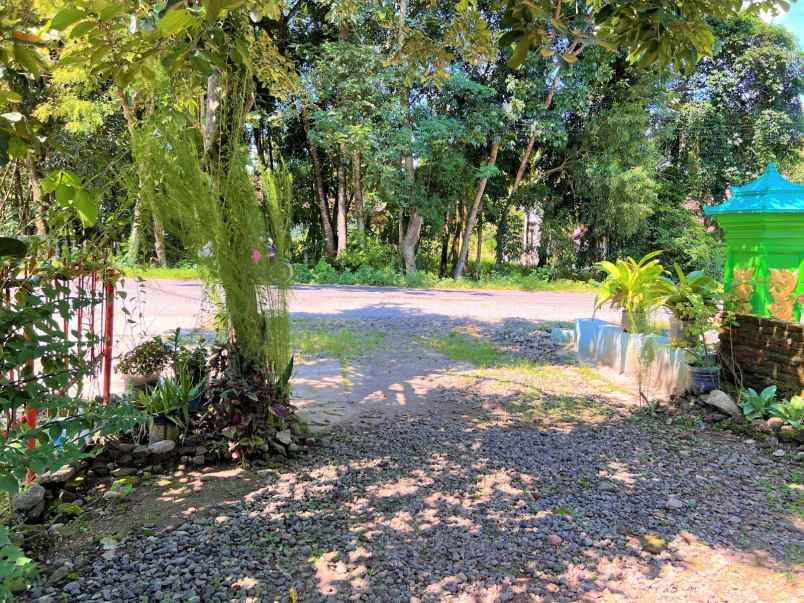 rumah minimalis tepi jl raya sragen