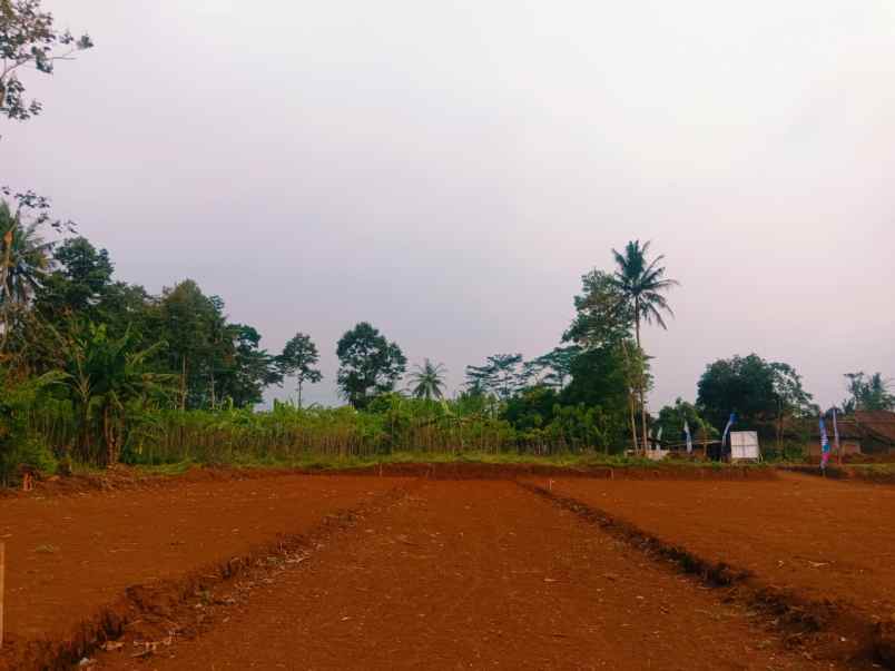rumah subsidi pemerintah di boja kendal