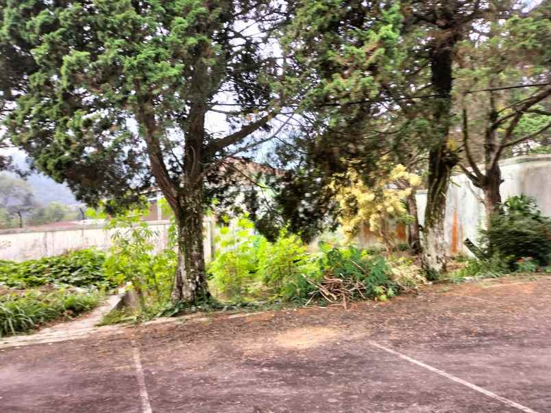 tanah cocok untuk villa dan perumahan di gadog pacet