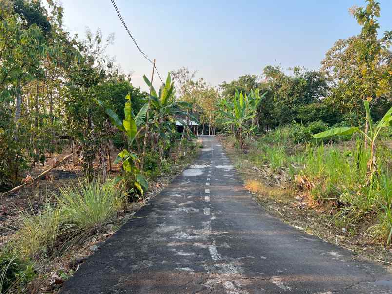 tanah datar 1000m view sawah kerjo karanganyar