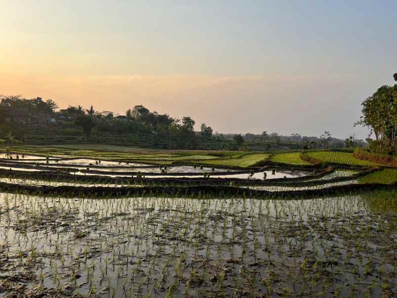 tanah datar 1000m view sawah kerjo karanganyar
