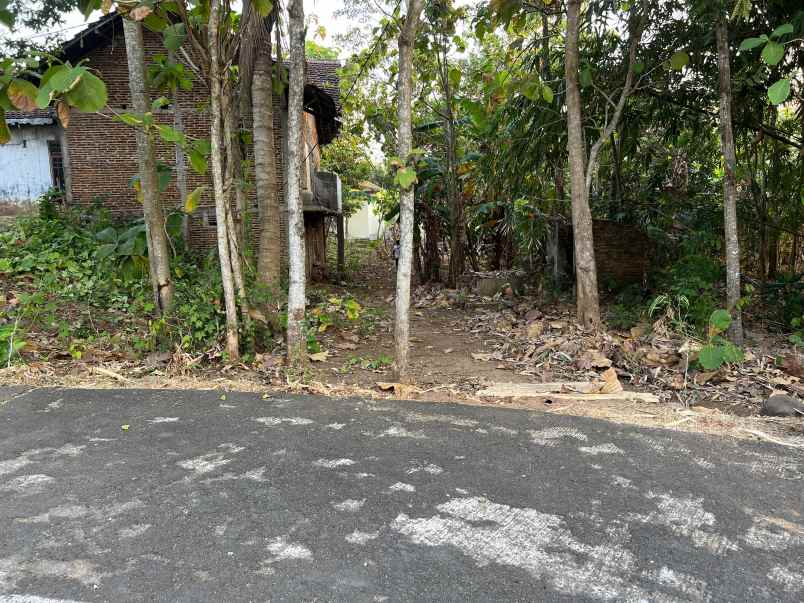 tanah datar 1000m view sawah kerjo karanganyar