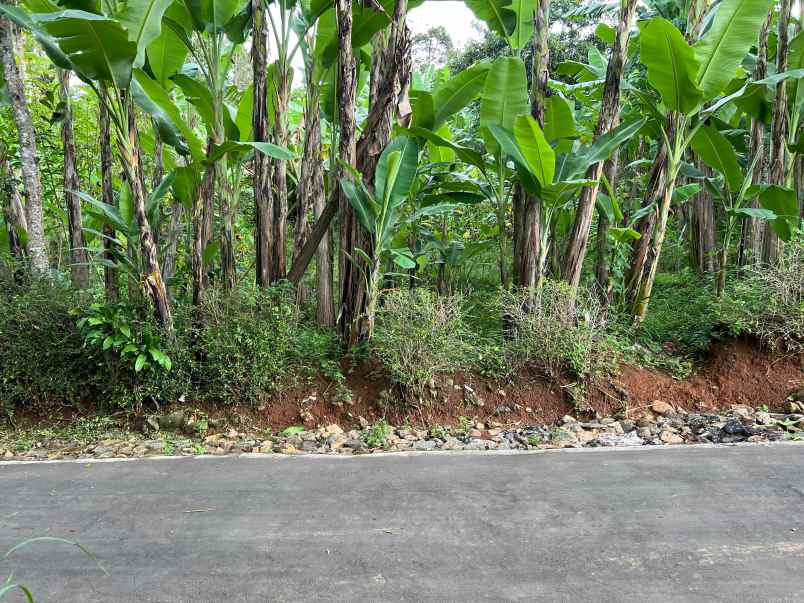 tanah datar 625m hanya 150jt kerjo karanganyar