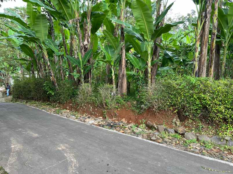 tanah datar 625m hanya 150jt kerjo karanganyar