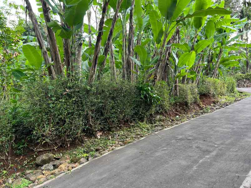 tanah datar 625m hanya 150jt kerjo karanganyar